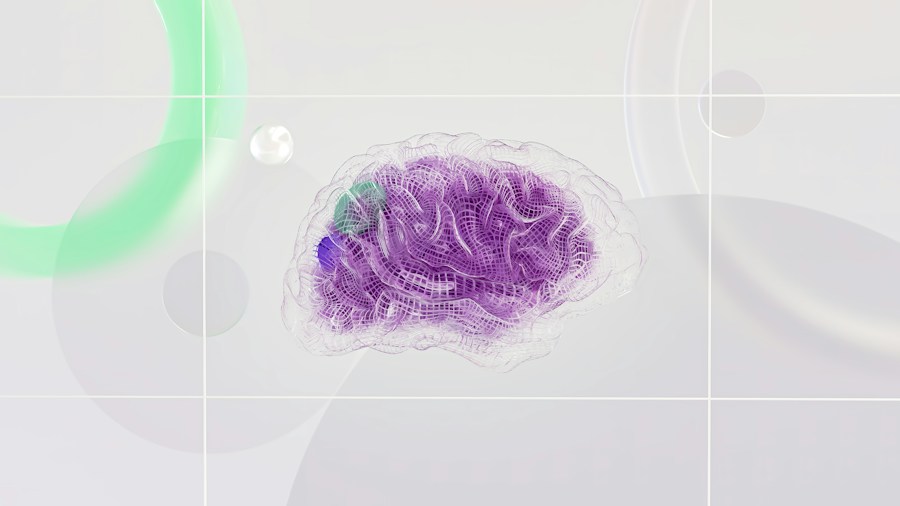 Neural landscapes